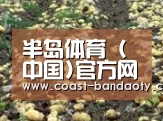 种植基地八(图1)