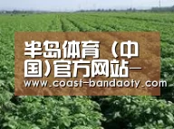 种植基地五