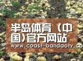 种植基地七