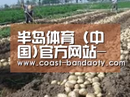 种植基地七(图1)