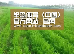 种植基地四