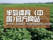 种植基地五(图1)