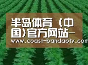 种植基地六(图1)
