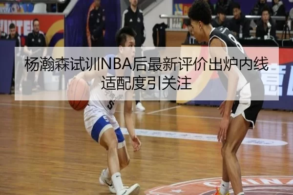 杨瀚森试训NBA后最新评价出炉内线适配度引关注